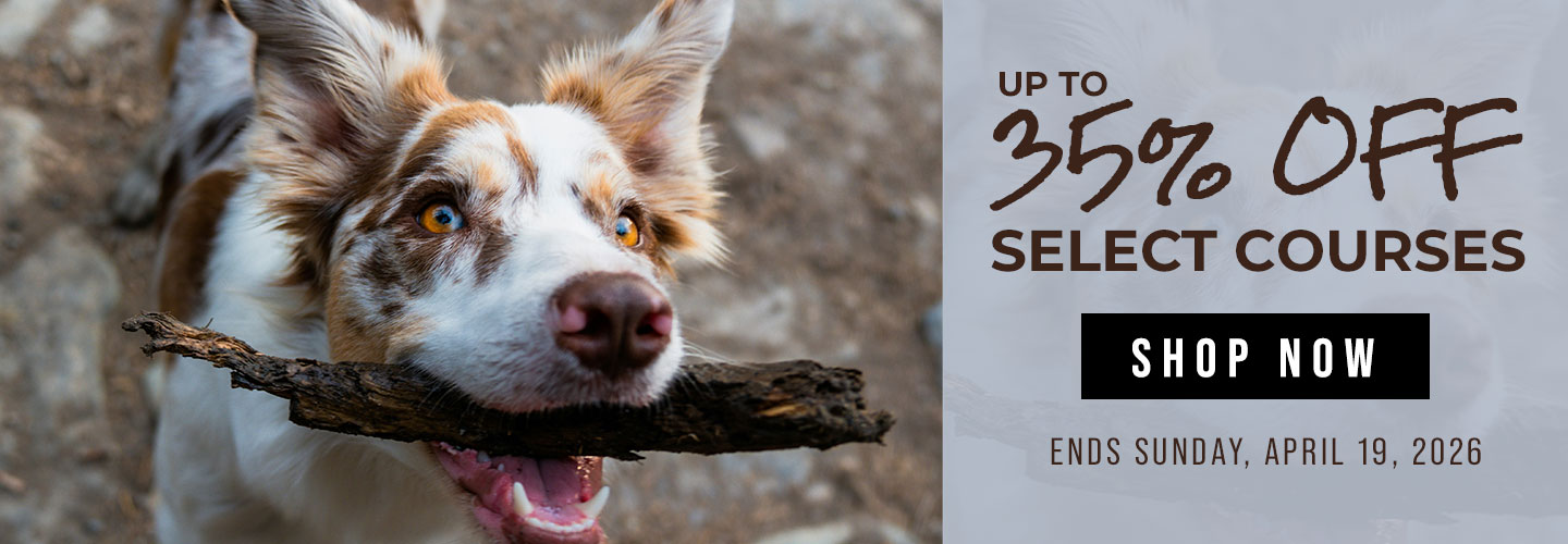 UP to 35% Off Select Courses