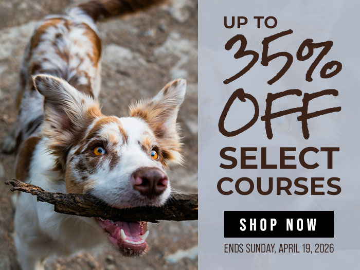 UP to 35% Off Select Courses