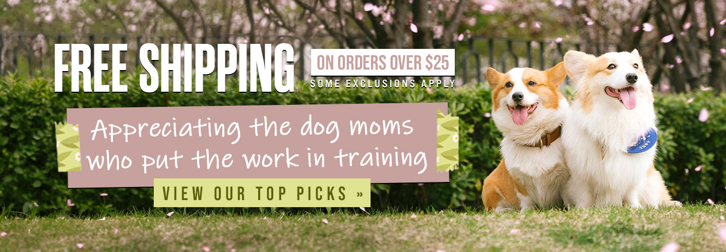 Celebrating Mother's Day - Free Shipping on Orders Over $25