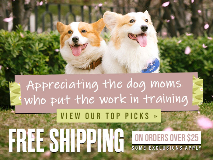 Celebrating Mother's Day - Free Shipping on Orders Over $25
