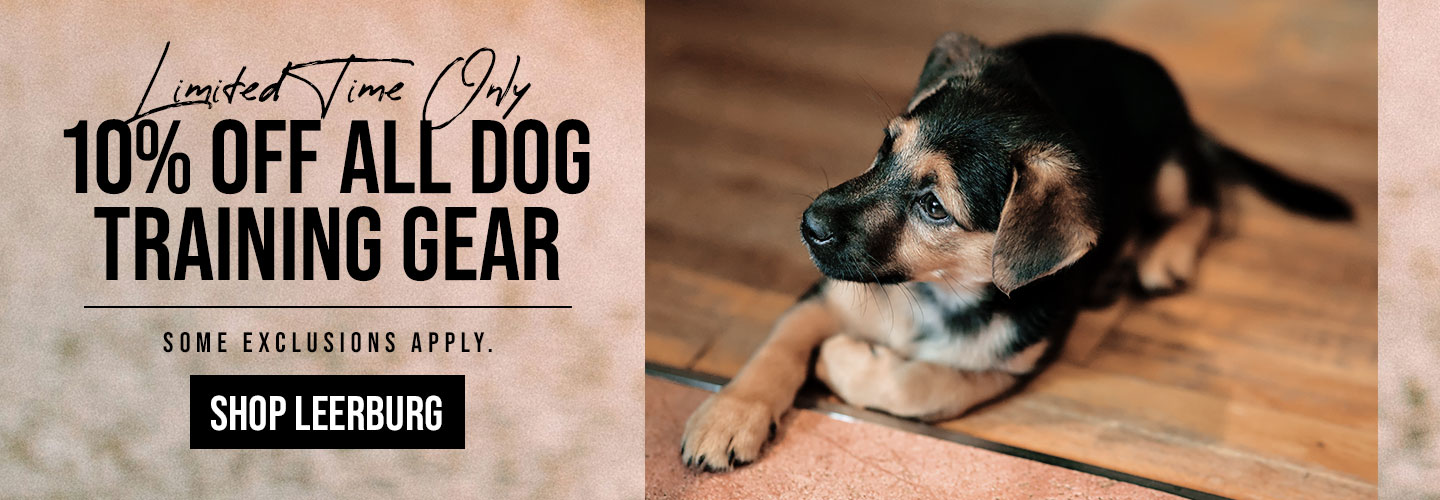 10% Off Sitewide for a Limited Time Only