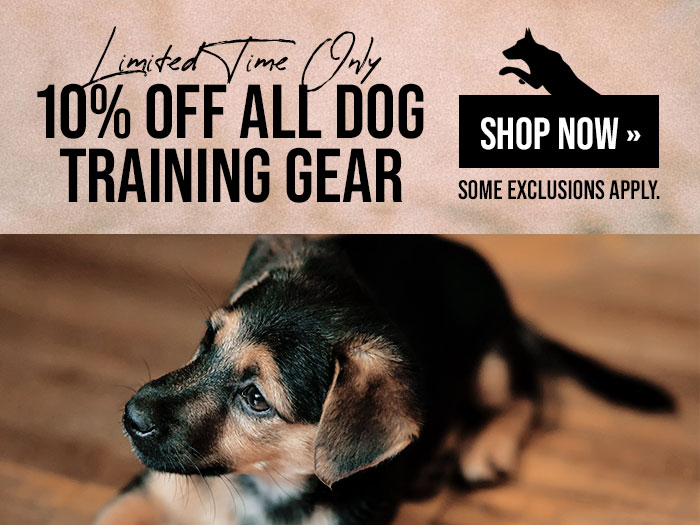 10% Off Sitewide for a Limited Time Only