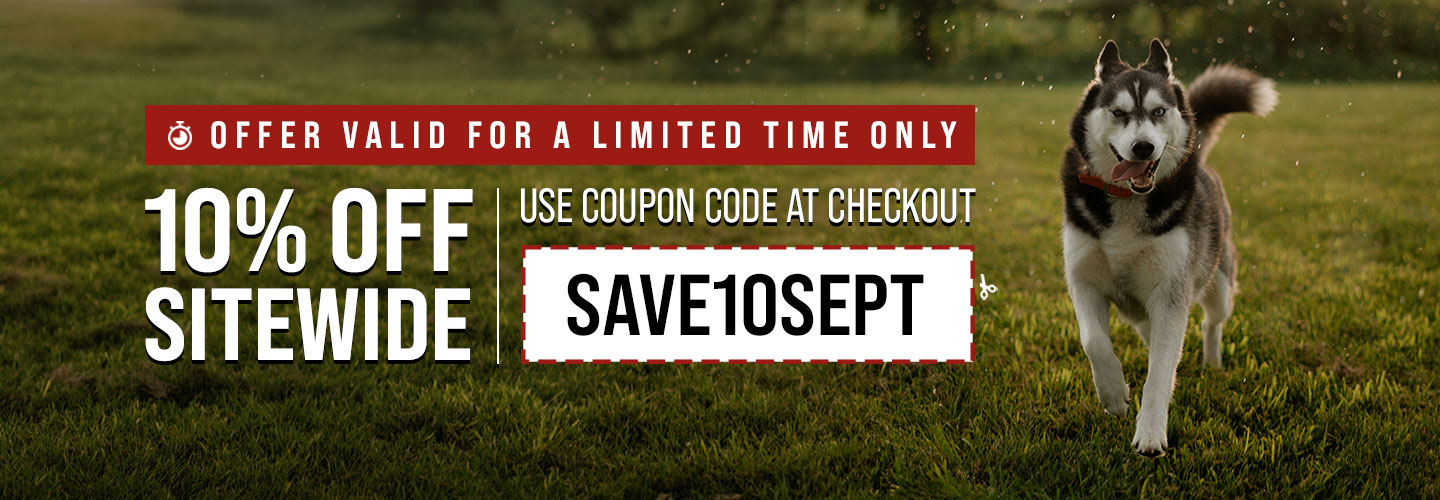 10% Off Sitewide for a Limited Time Only