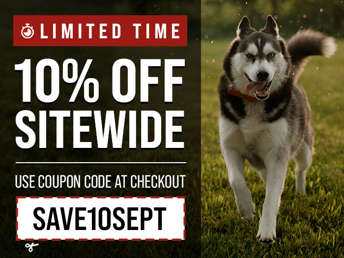 10% Off Sitewide for a Limited Time Only