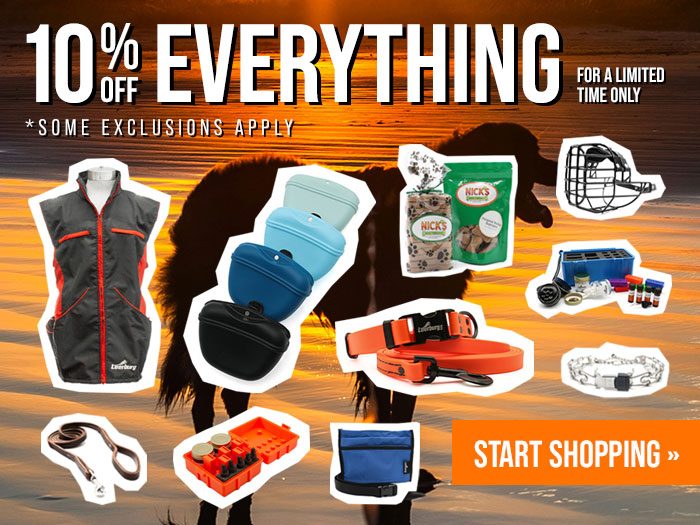 10% Off Sitewide for a Limited Time Only