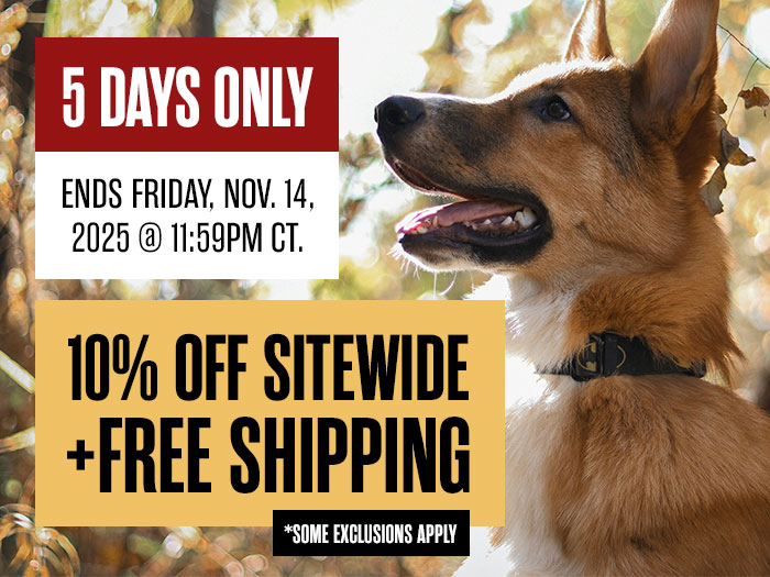 10% Off Sitewide + Free Shipping Sitewide