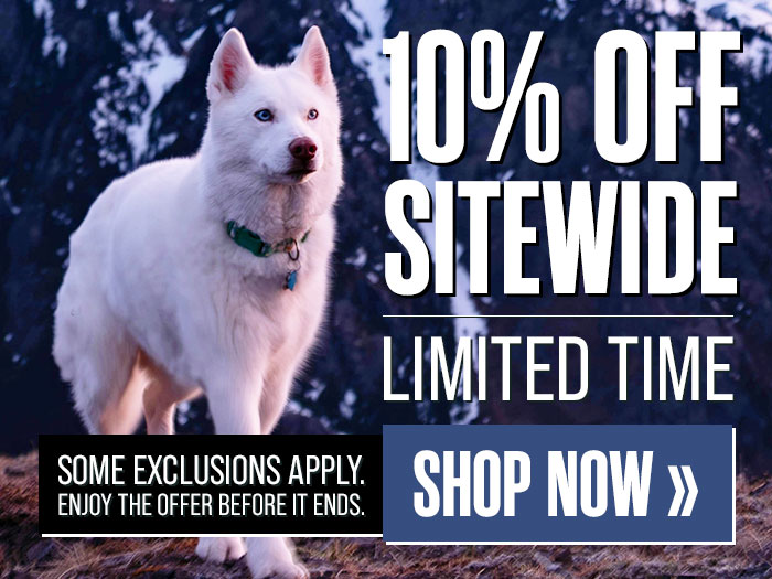 10% Off Sitewide for a Limited Time Only