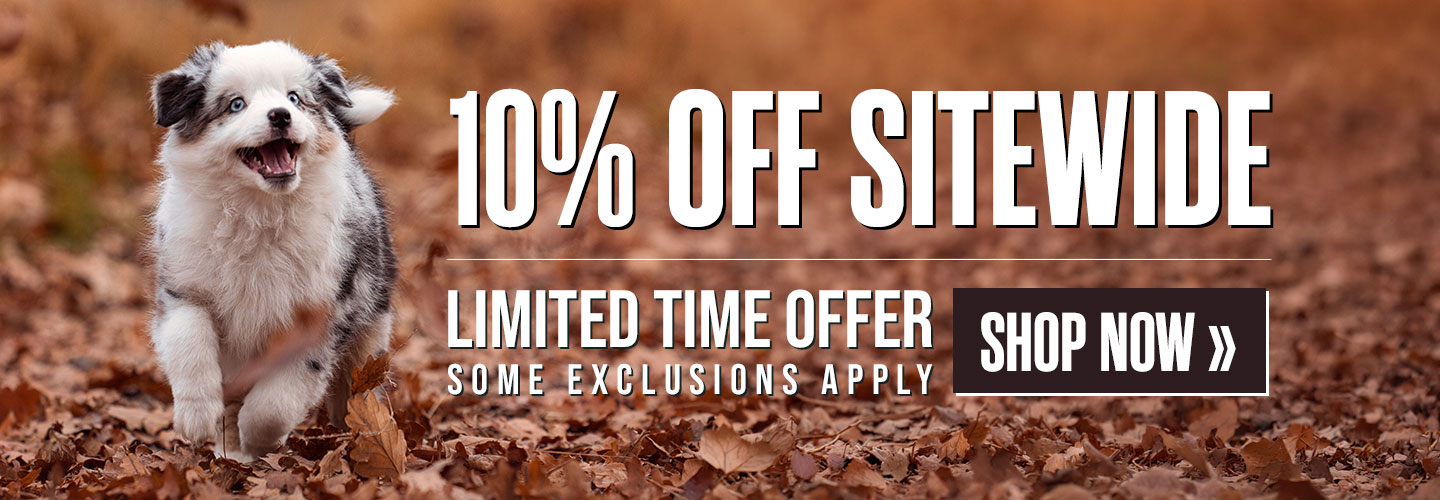 10% Off Sitewide for a Limited Time Only