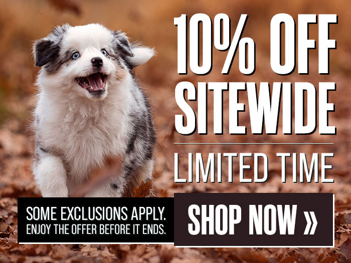 10% Off Sitewide for a Limited Time Only