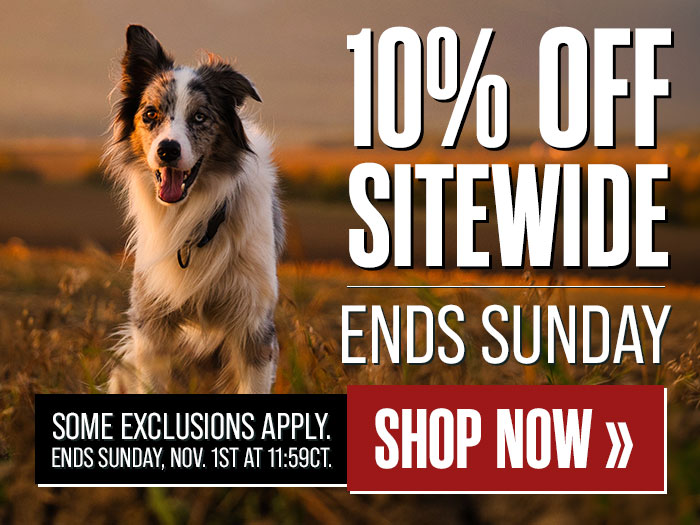 10% Off Sitewide Ends Sunday