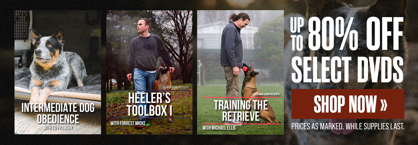 Up to 80% Off Select DVDs