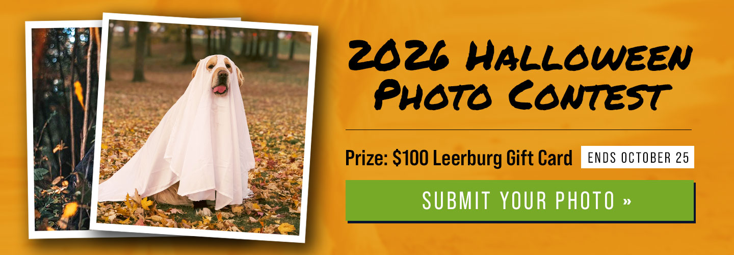 2026 Halloween Photo Contest