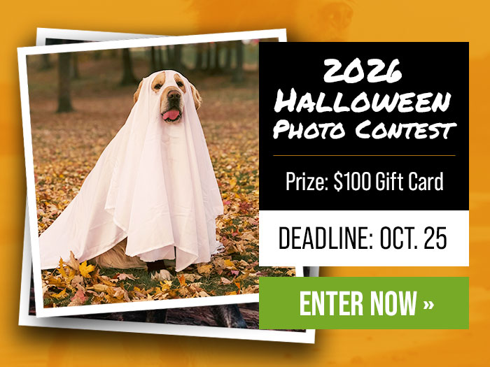 2026 Halloween Photo Contest