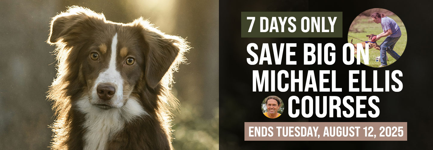 Save Big on Select Michael Ellis Courses