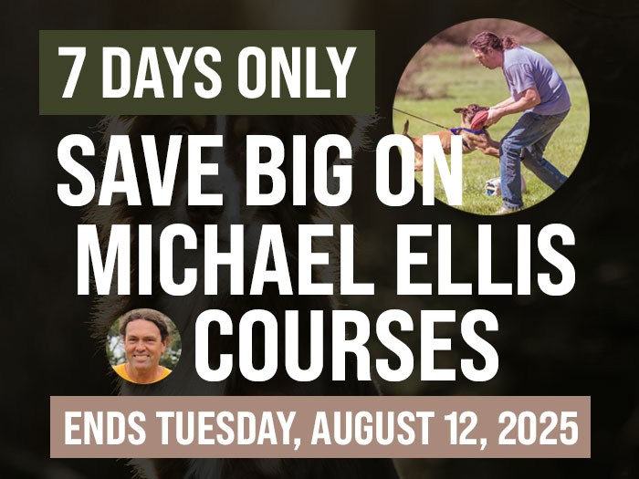 Save Big on Select Michael Ellis Courses