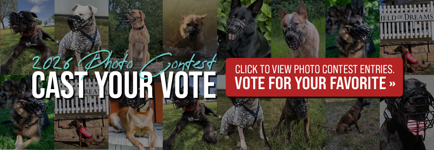 Cast Your Vote for the 2026 Photo Contest