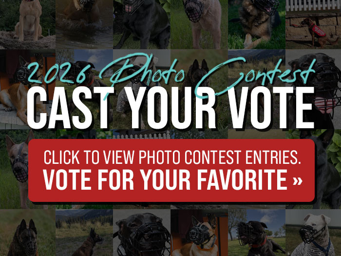 Cast Your Vote for the 2026 Photo Contest