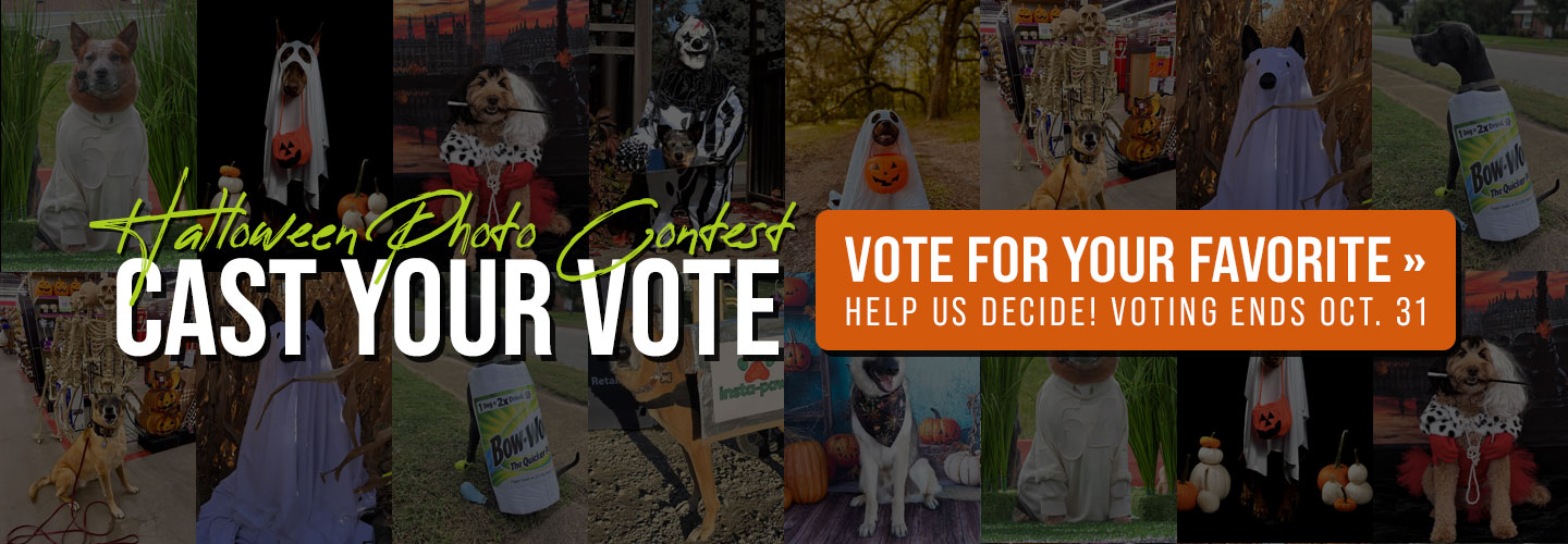 Cast Your Vote for our Halloween Photo Contest