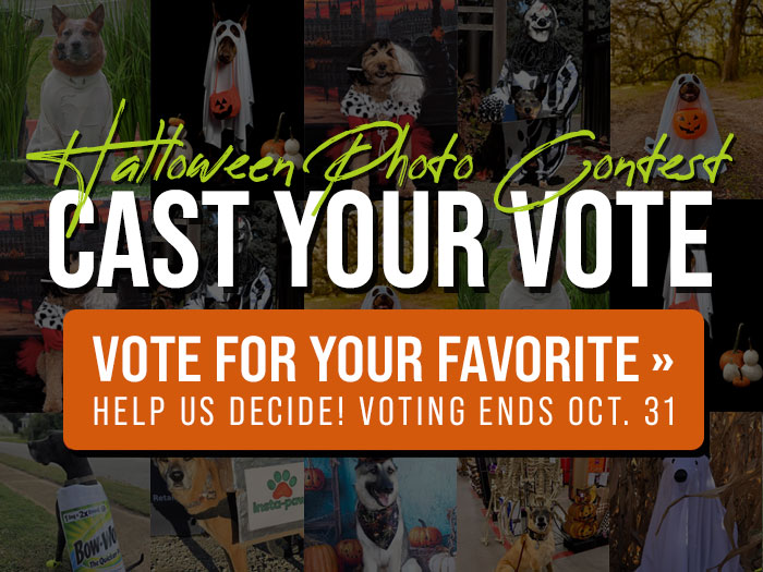 Cast Your Vote for our Halloween Photo Contest