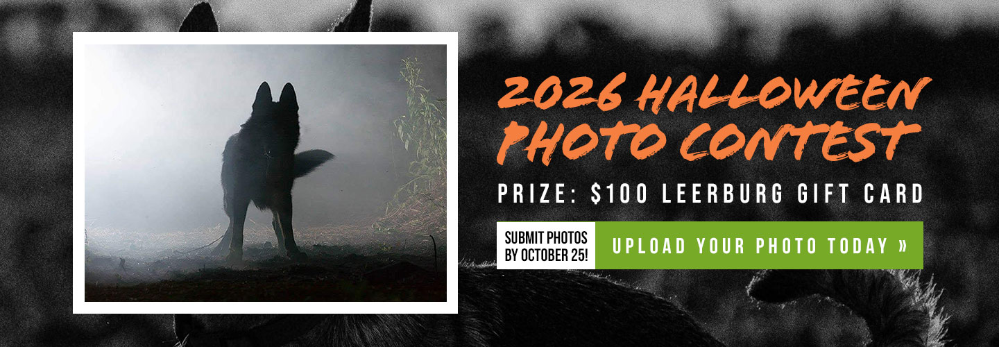 2026 Halloween Photo Contest