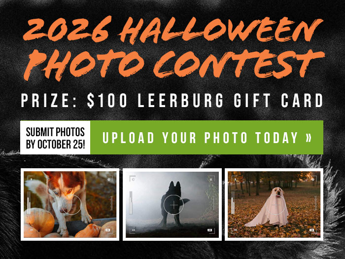 2026 Halloween Photo Contest