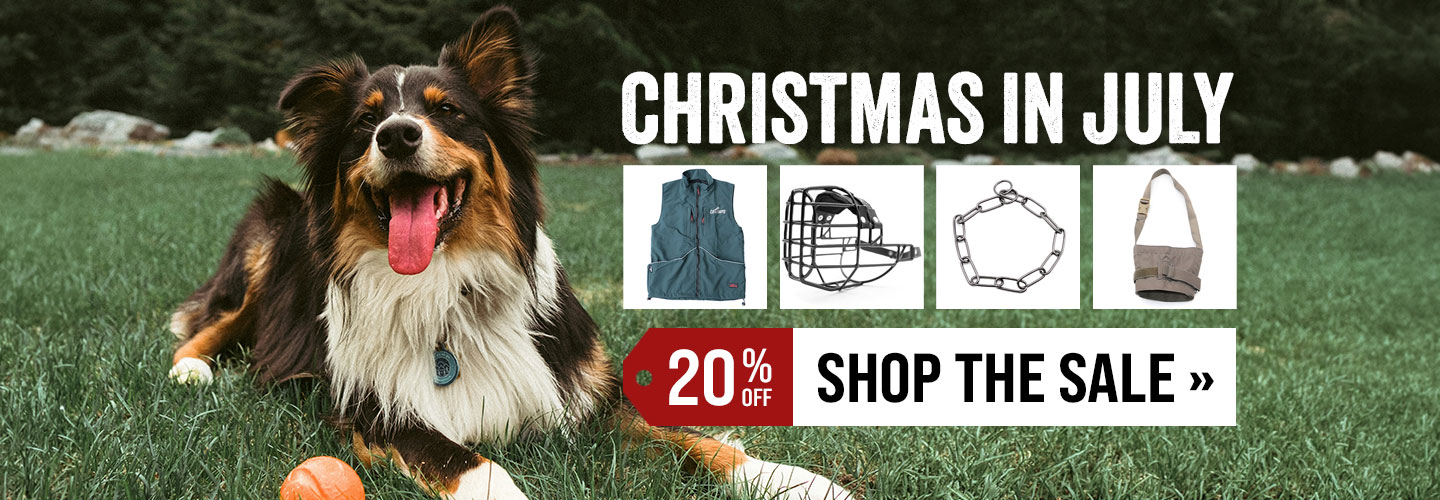Christmas in July Sale