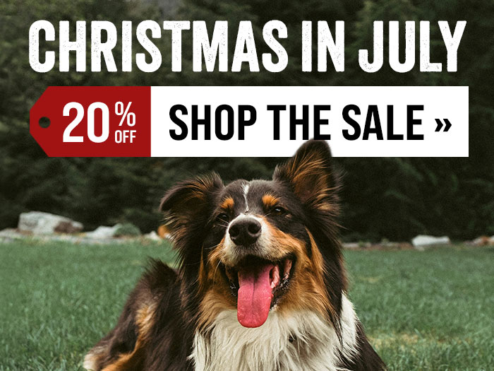 Christmas in July Sale