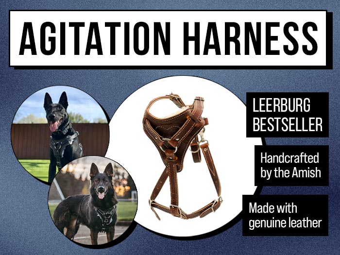 Bestseller - 2-Snap Agitation Harness