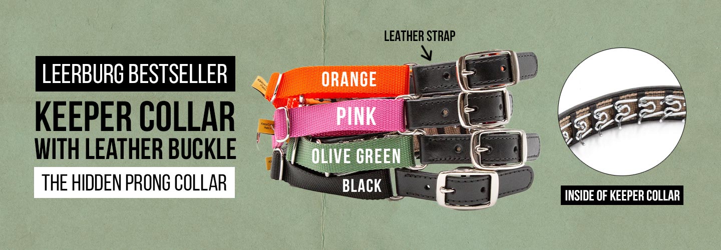 Bestseller - Keeper Collar with Leather Buckle