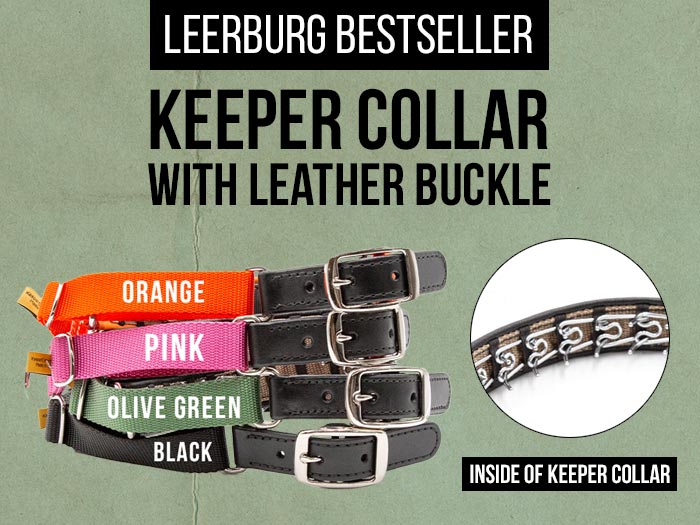 Bestseller - Keeper Collar with Leather Buckle