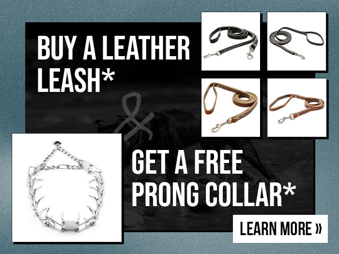 Buy Select Leather Leash, Get Free Prong Collar