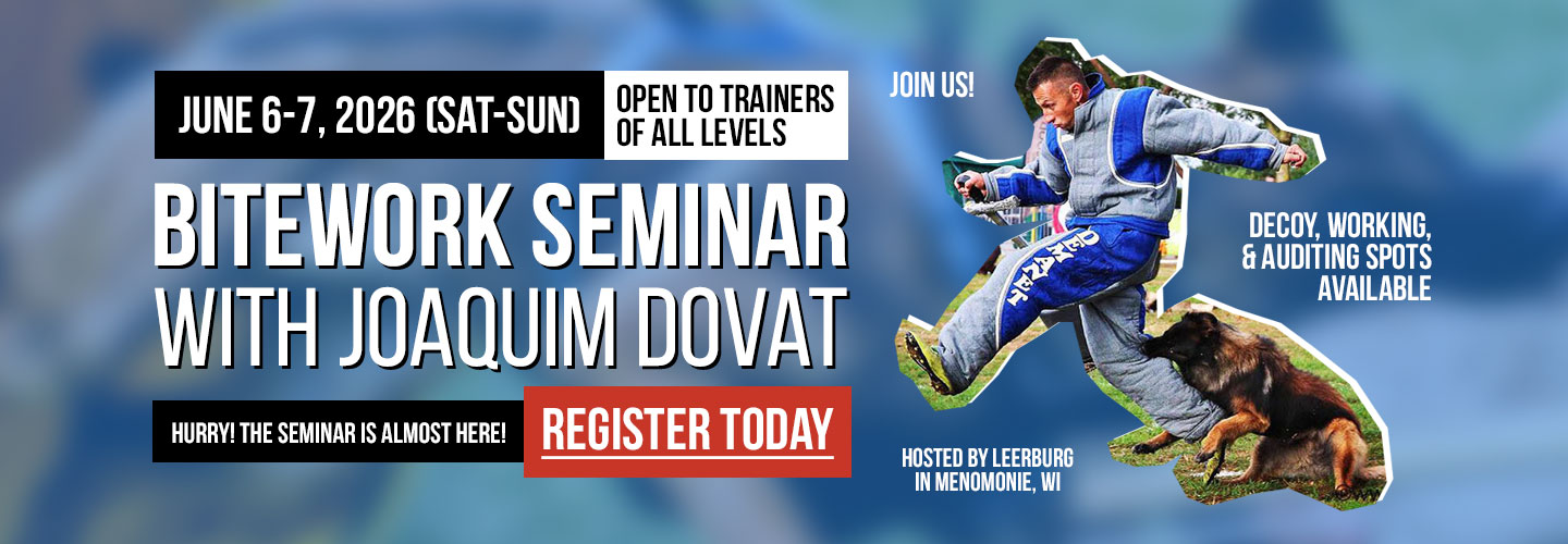 Joaquim Dovat's Bitework for All Levels Seminar