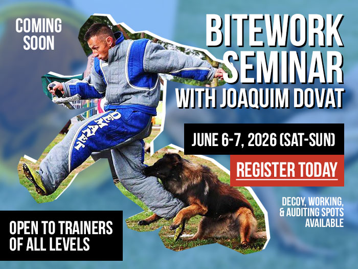 Joaquim Dovat's Bitework for All Levels Seminar