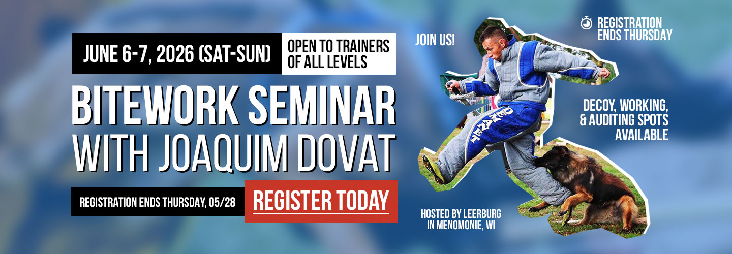 Joaquim Dovat's Bitework for All Levels Seminar