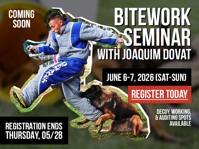 Joaquim Dovat's Bitework for All Levels Seminar