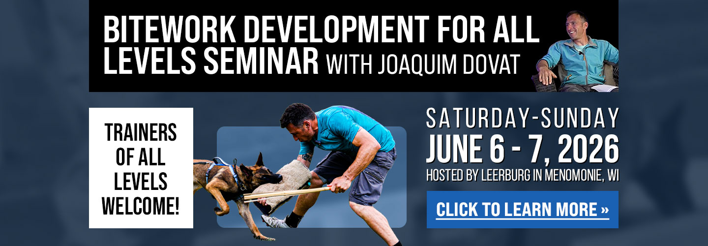 Joaquim Dovat's Bitework for All Levels Seminar
