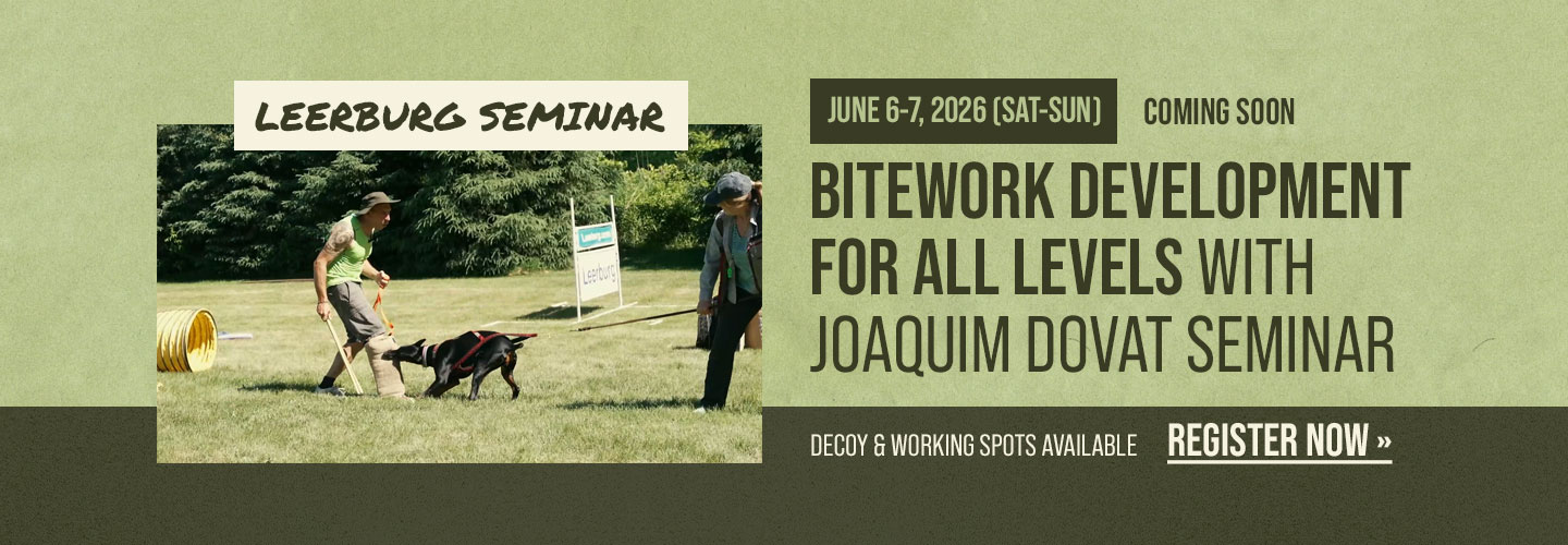 Joaquim Dovat's Bitework for All Levels Seminar