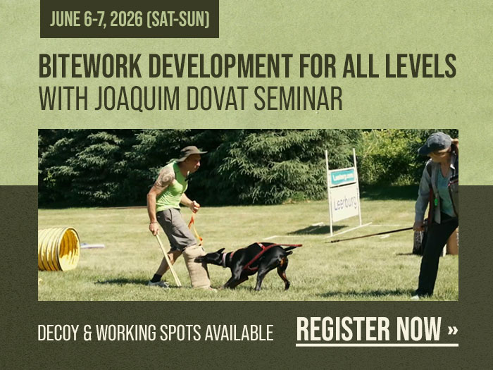 Joaquim Dovat's Bitework for All Levels Seminar