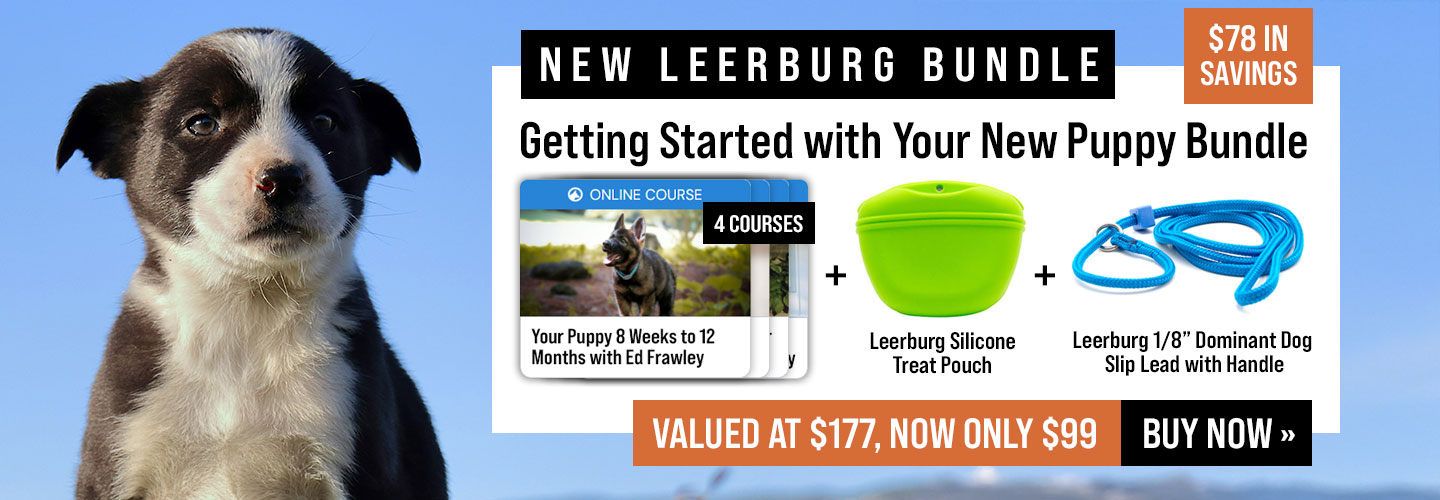 Save $78 with Getting Started with Your New Puppy Bundle