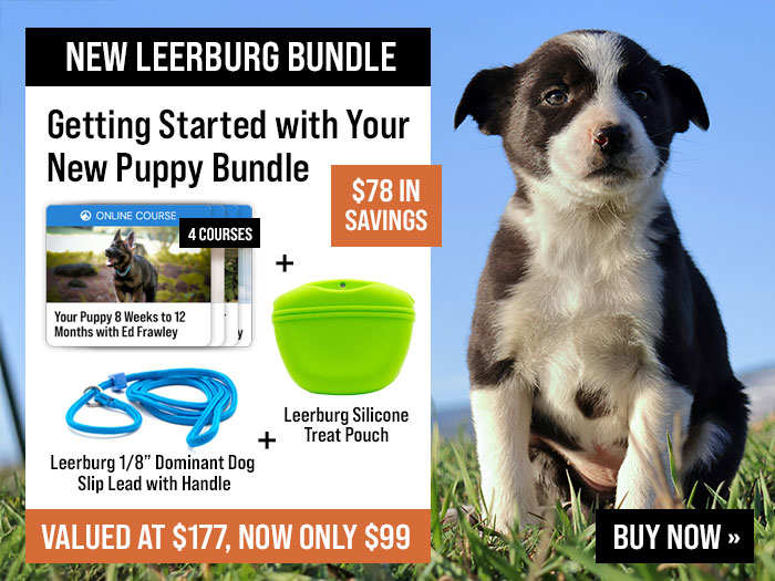 Save $78 with Getting Started with Your New Puppy Bundle