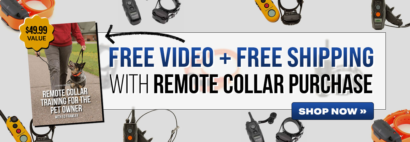 Get Free Shipping + Free Video with Every Remote Collar Purchase