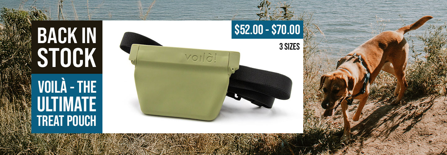 Back in Stock - Voila Ultimate Treat Pouch