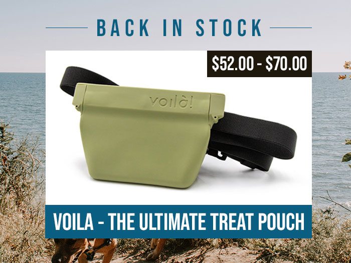 Back in Stock - Voila Ultimate Treat Pouch