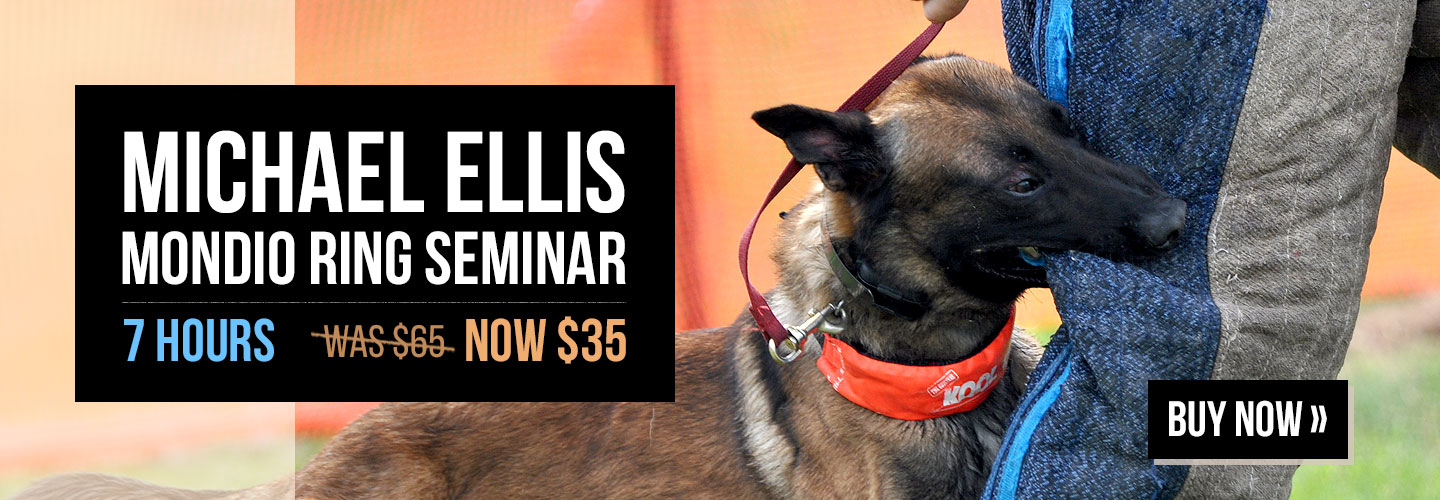 Price Lowered - Michael Ellis Mondio Ring Seminar