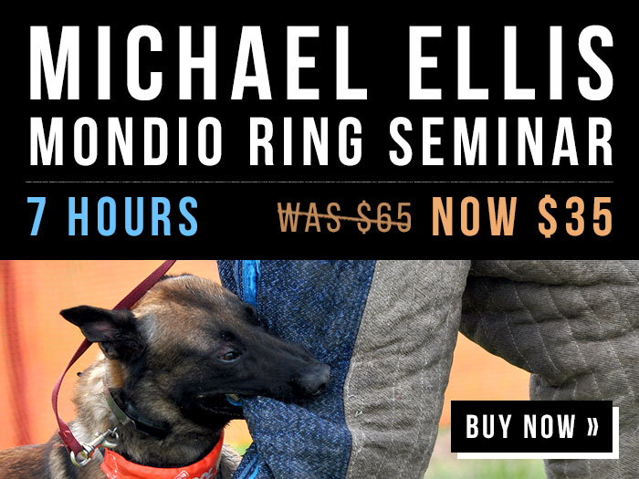 Price Lowered - Michael Ellis Mondio Ring Seminar