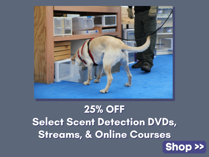 25% Off Select Scentwork DVDs, Streams, and Online Courses