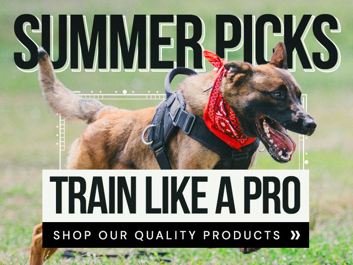 Summer Picks - Train Like a Pro