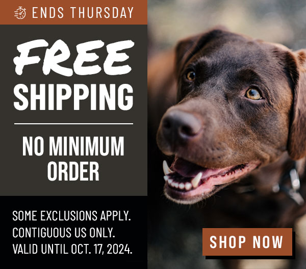 Free Shipping