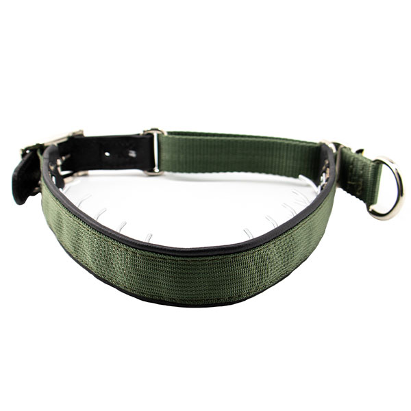Keeper Collars Hidden Prong with Leather Strap