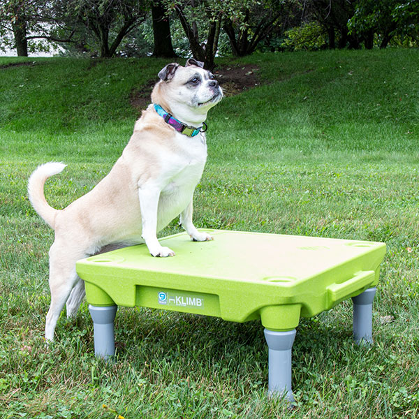 KLIMB Dog Training Platform & Agility System